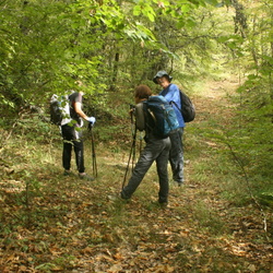 Западная дорога на Парагильмен