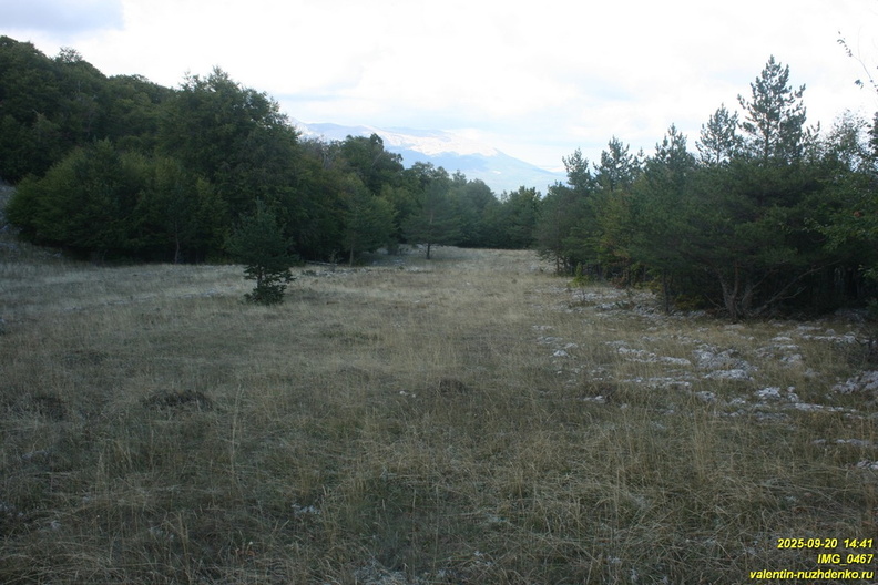 babugan-467.JPG