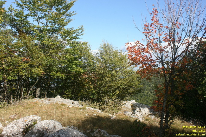 babugan-485.JPG