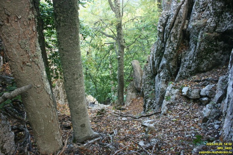 babugan-495.JPG