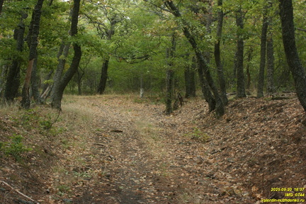 Падиша-Йол. Дорога от Виноградного на Узень-Баш