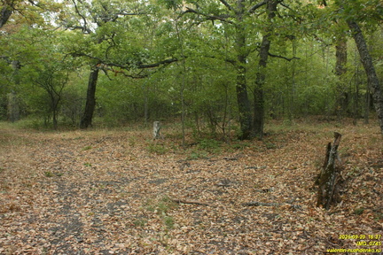 Падиша-Йол. Дорога от Виноградного на Узень-Баш