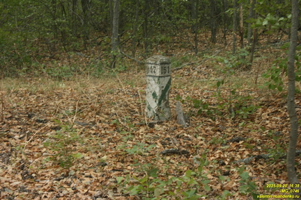 Падиша-Йол. Дорога от Виноградного на Узень-Баш