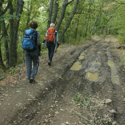 Северный склон Бабугана от Урага до подножия Конька