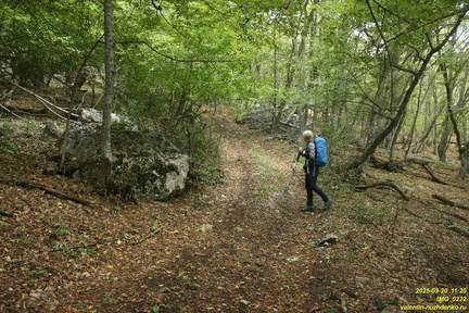 Вацинея - Вигла. Верхняя дорога на южном склоне Бабугана