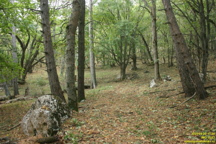 Вацинея - Вигла. Верхняя дорога на южном склоне Бабугана