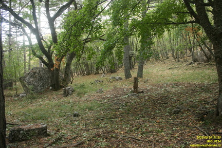 Вацинея - Вигла. Верхняя дорога на южном склоне Бабугана