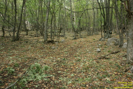 Вацинея - Вигла. Верхняя дорога на южном склоне Бабугана