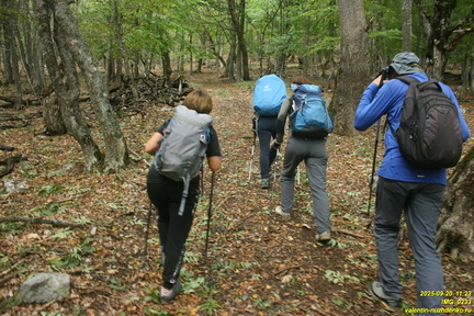 Вацинея - Вигла. Верхняя дорога на южном склоне Бабугана