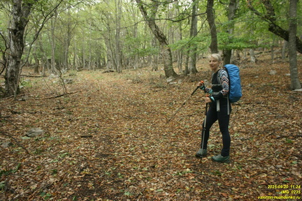 Вацинея - Вигла. Верхняя дорога на южном склоне Бабугана