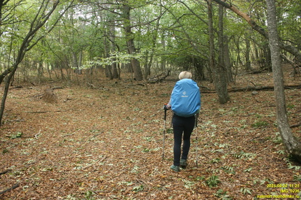 Вацинея - Вигла. Верхняя дорога на южном склоне Бабугана