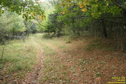 Вигла - возвышенность на южных склонах Бабугана возле газопровода