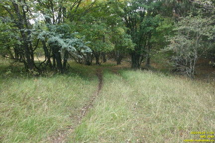 Вигла - возвышенность на южных склонах Бабугана возле газопровода