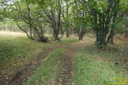 Вигла - возвышенность на южных склонах Бабугана возле газопровода