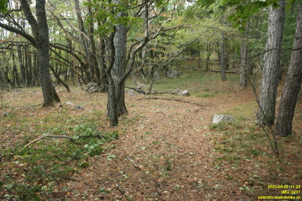 Вигла - возвышенность на южных склонах Бабугана возле газопровода