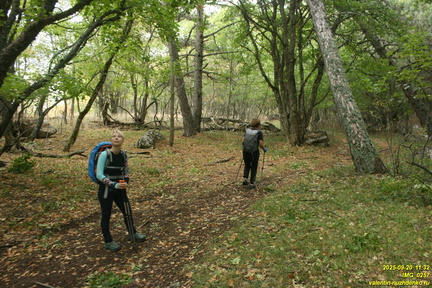 Вигла - возвышенность на южных склонах Бабугана возле газопровода