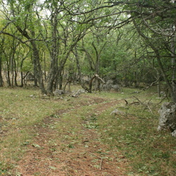 Вигла. Район. Кладки