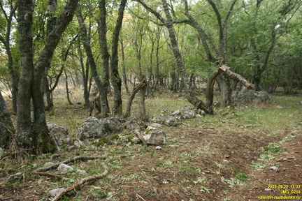 Вигла - возвышенность на южных склонах Бабугана возле газопровода