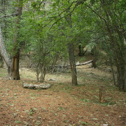 Вигла. Солонец