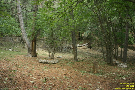 Вигла - возвышенность на южных склонах Бабугана возле газопровода