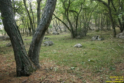 Вигла - возвышенность на южных склонах Бабугана возле газопровода