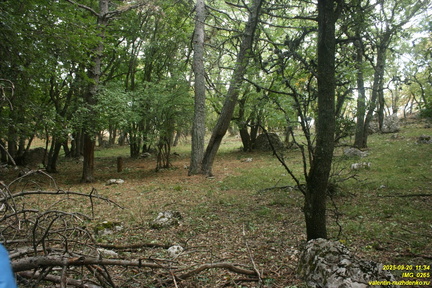 Вигла - возвышенность на южных склонах Бабугана возле газопровода