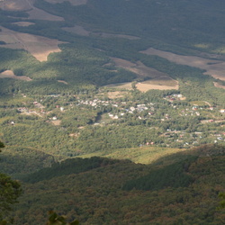 Розовый и район