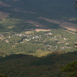 Розовый. Общие виды издали