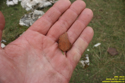 Урочище Уч-Кош, разные находки под скалами