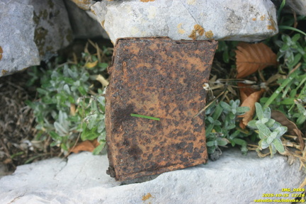 Магазин от СВТ