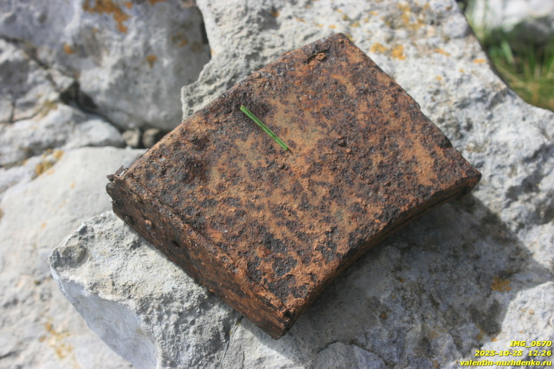 babugan-362.JPG