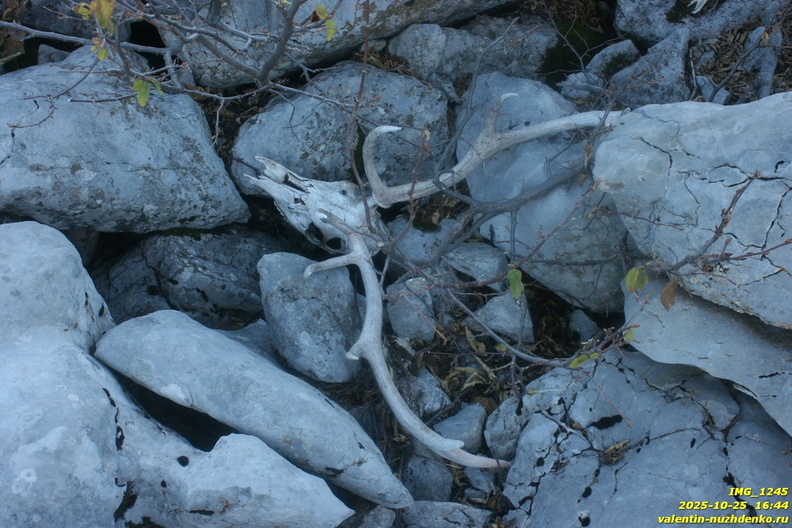 babugan-396.JPG