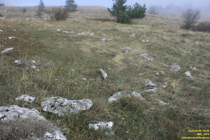 Бабуган-яйла, Крым