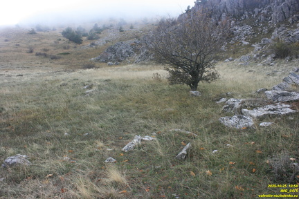 Бабуган-яйла, Крым