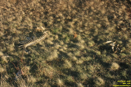 Бабуган-яйла, Крым