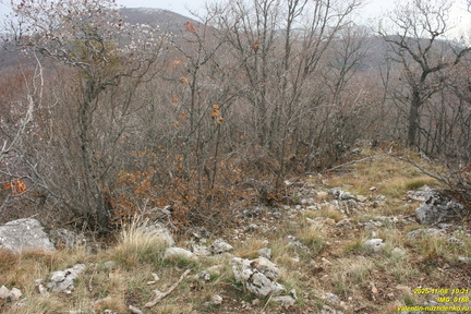 Бабуган-яйла, Крым