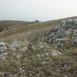Дорога у Хуру-Голь. Фото