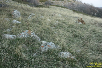 Бабуган-яйла, Крым