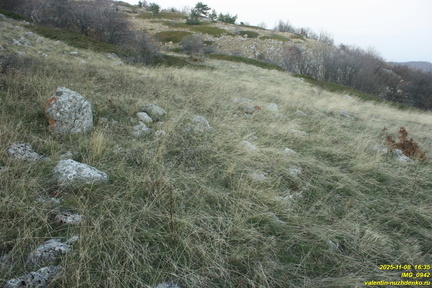 Бабуган-яйла, Крым