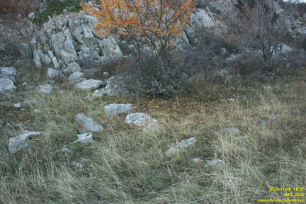 Бабуган-яйла, Крым