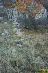 Бабуган-яйла, Крым