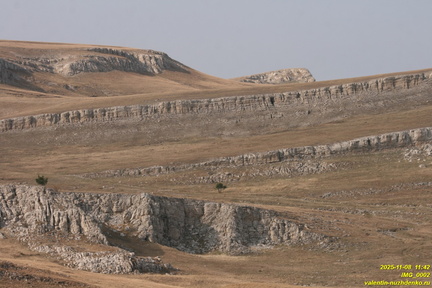 IMG 0002