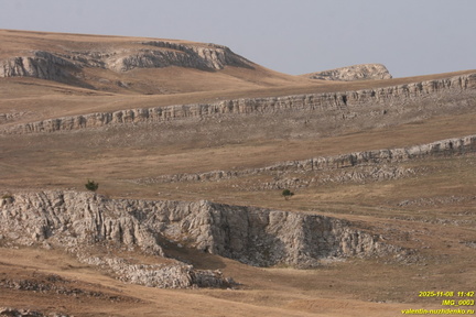 IMG 0003