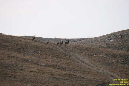IMG 0005