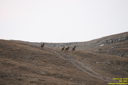 IMG 0007