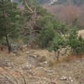 Гурзуфская яйла. Родник Борисыча