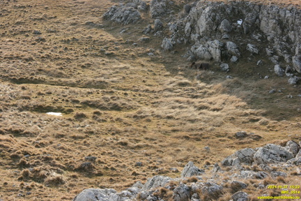 Гурзуфская яйла