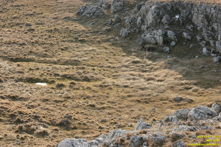 Гурзуфская яйла