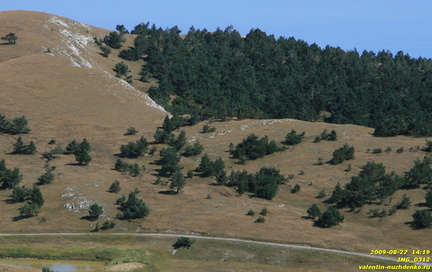 Гурзуфская яйла.