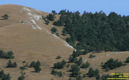 Гурзуфская яйла.